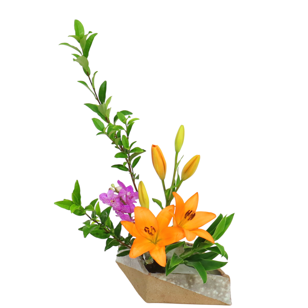 C.水盤スターターコース [2025年10月 - 3回目]