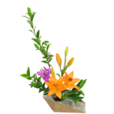 C.水盤スターターコース [2025年10月 - 3回目]