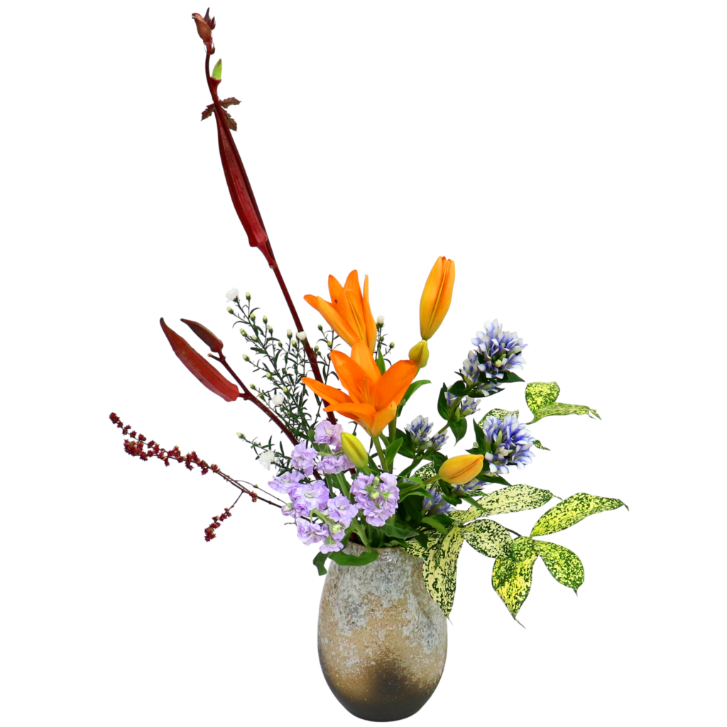 D.花瓶プレミアムコース [2025年10月 - 3回目]