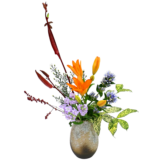 D.花瓶プレミアムコース [2025年10月 - 3回目]