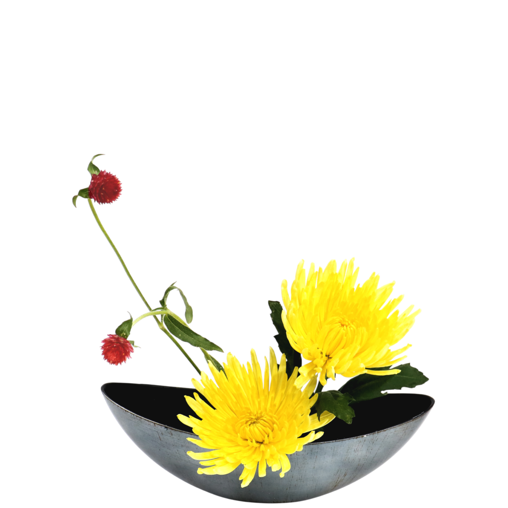 S.プラスONE 切り花S [2025年10月 - 3回目]