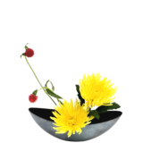 S.プラスONE 切り花S [2025年10月 - 3回目]