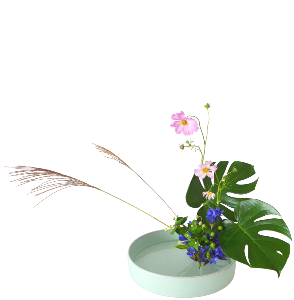 W.花瓶・水盤月2回コース [2025年10月 - 3回目]