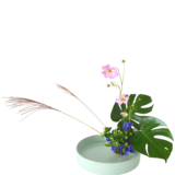 W.花瓶・水盤月2回コース [2025年10月 - 3回目]