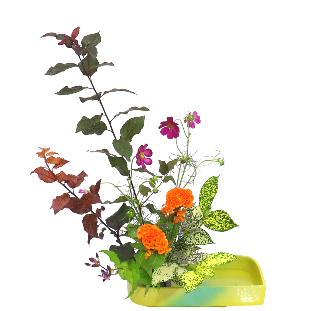 Z.水盤スタンダードコース [2025年10月 - 3回目]