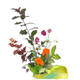 Z.水盤スタンダードコース [2025年10月 - 3回目]