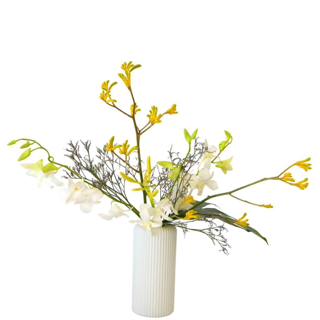 B.花瓶スターターコース [2025年11月 - 1回目]