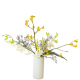 B.花瓶スターターコース [2025年11月 - 1回目]