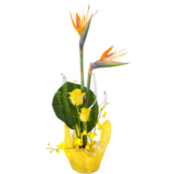 C.水盤スターターコース [2025年11月 - 1回目]