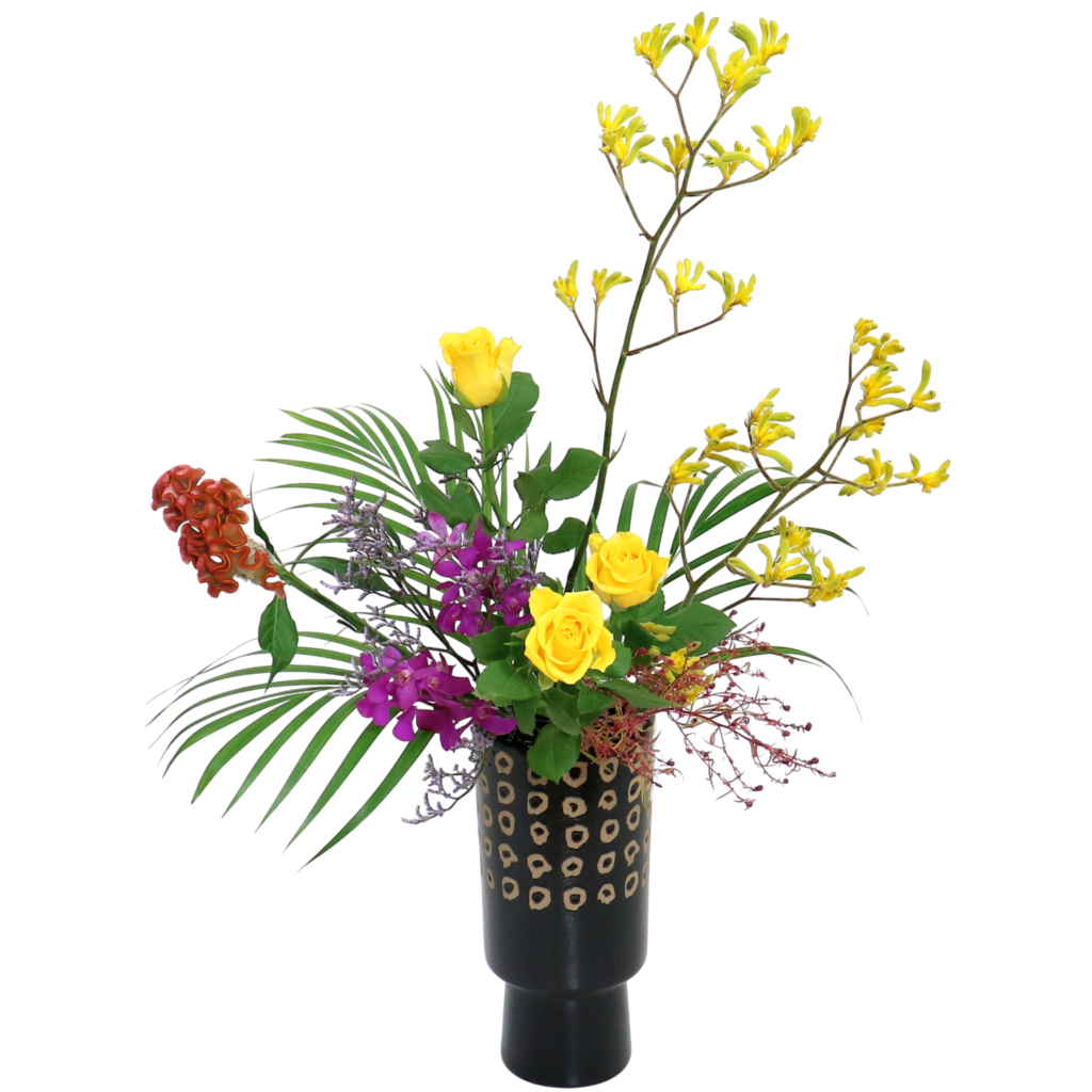 D.花瓶プレミアムコース [2025年11月 - 1回目]