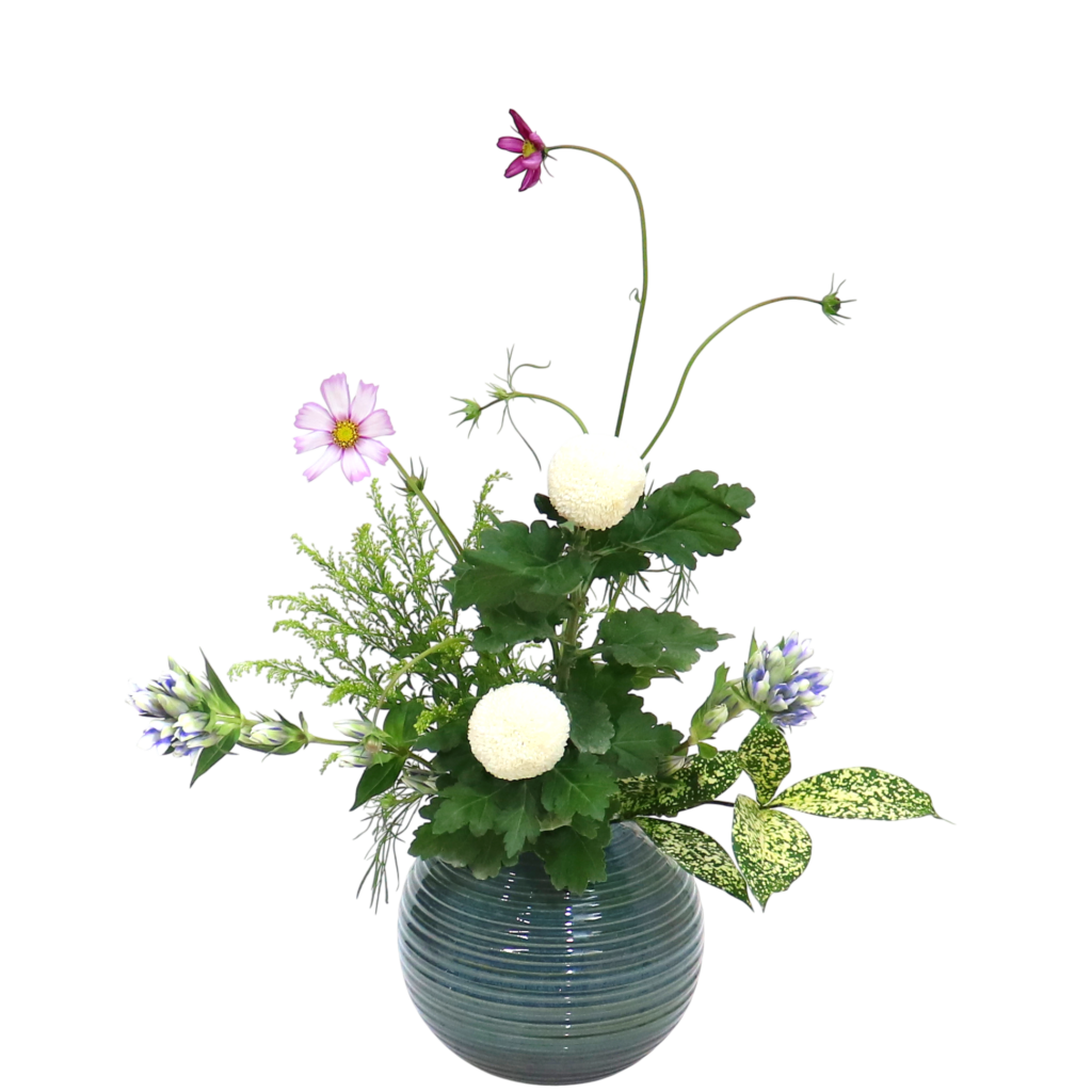 F.花瓶・水盤スターターコース [2025年11月 - 1回目]