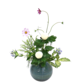 F.花瓶・水盤スターターコース [2025年11月 - 1回目]