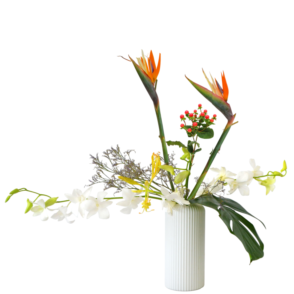 H.花瓶スタータープラスコース [2025年11月 - 1回目]