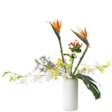 H.花瓶スタータープラスコース [2025年11月 - 1回目]