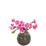 S.プラスONE 切り花S [2025年11月 - 1回目]