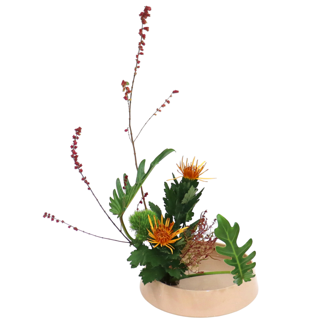 Z.水盤スタンダードコース [2025年11月 - 1回目]