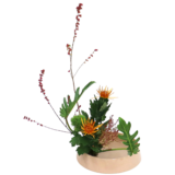 Z.水盤スタンダードコース [2025年11月 - 1回目]