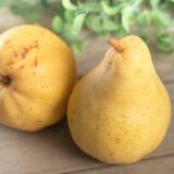 さんらいふ生活2025年 11月号