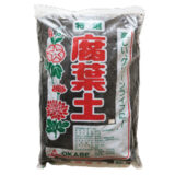 2025_花苗で彩り