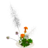 A.花瓶・水盤バラエティーコース [2025年11月 - 2回目]