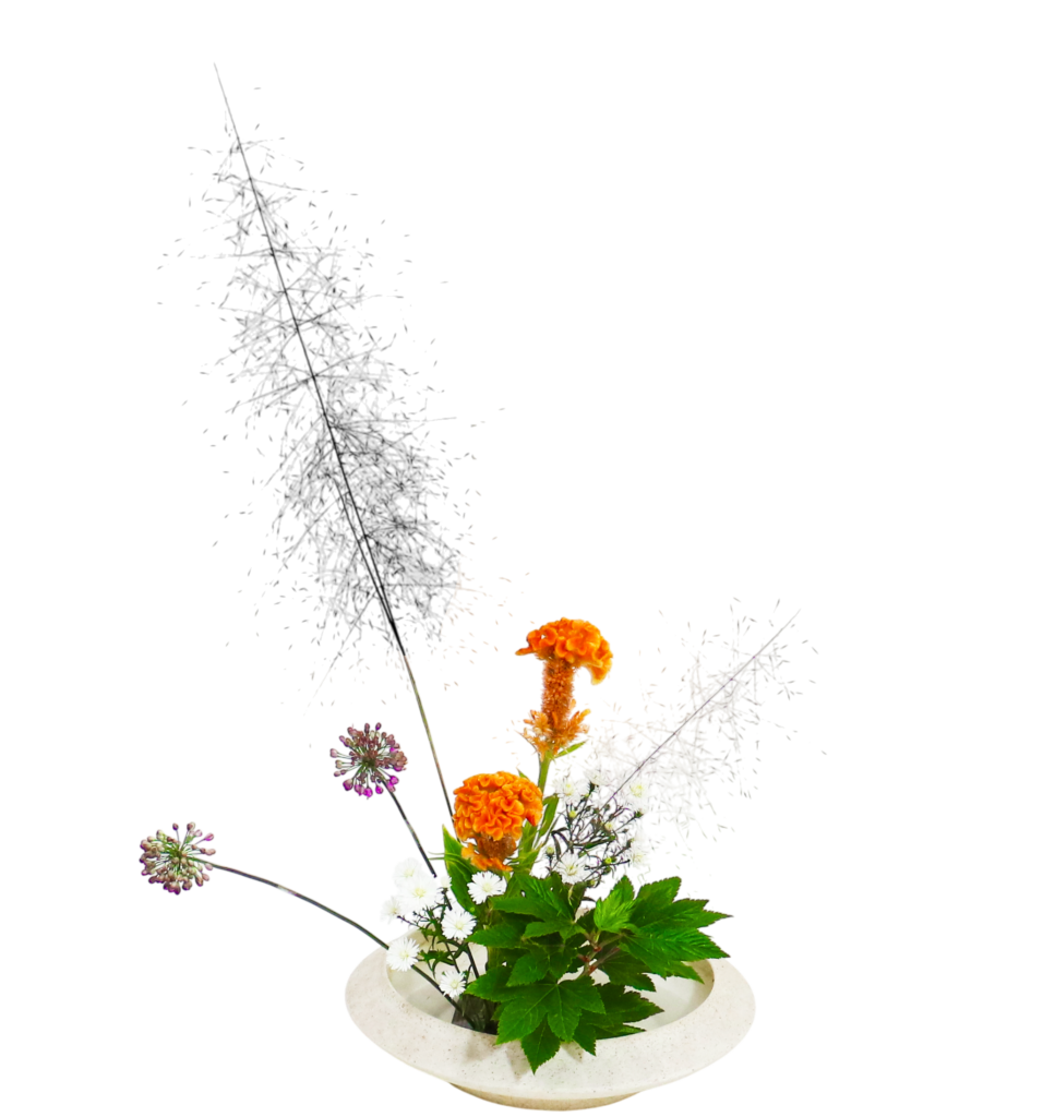 A.花瓶・水盤バラエティーコース [2025年11月 - 2回目]