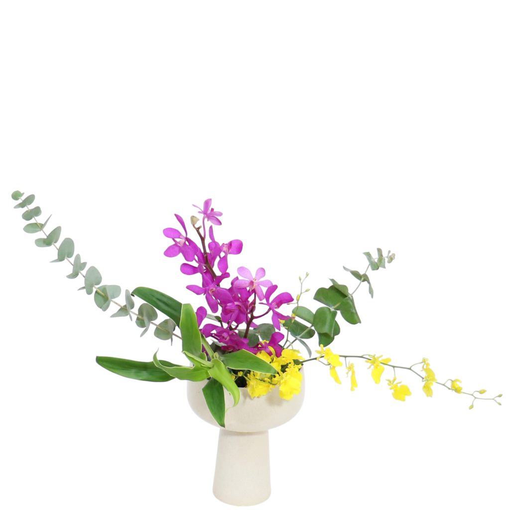 A.花瓶・水盤バラエティーコース [2025年11月 - 2回目]