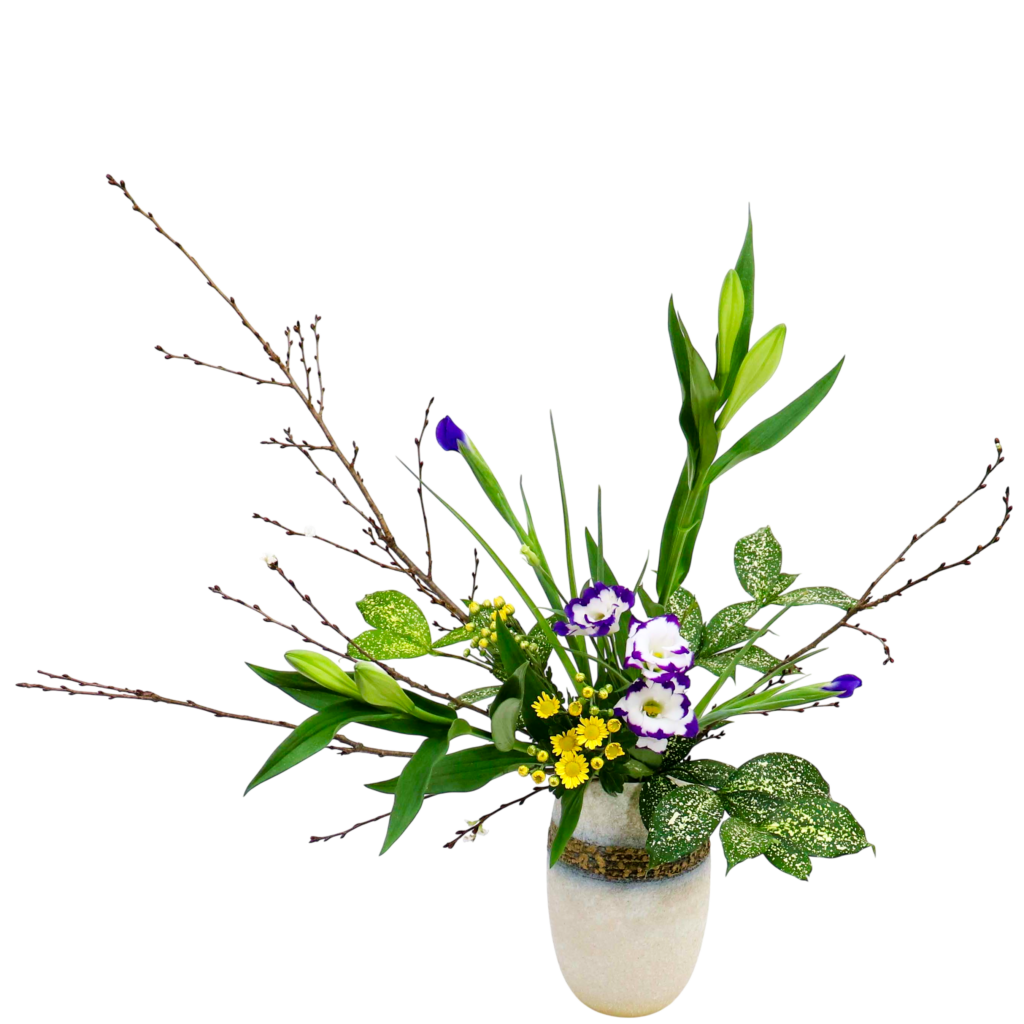 D.花瓶プレミアムコース [2025年11月 - 2回目]