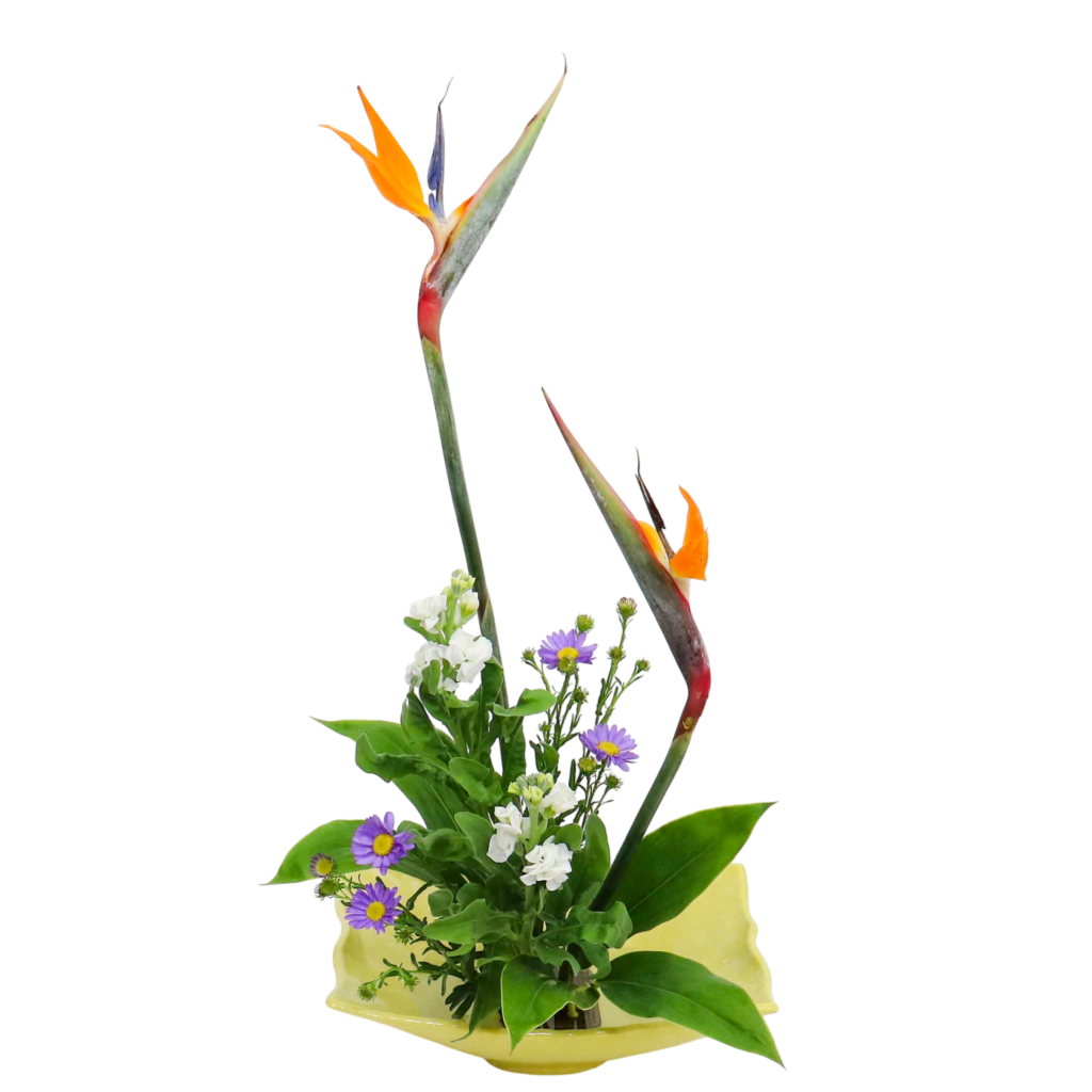 F.花瓶・水盤スターターコース [2025年11月 - 2回目]