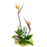 F.花瓶・水盤スターターコース [2025年11月 - 2回目]