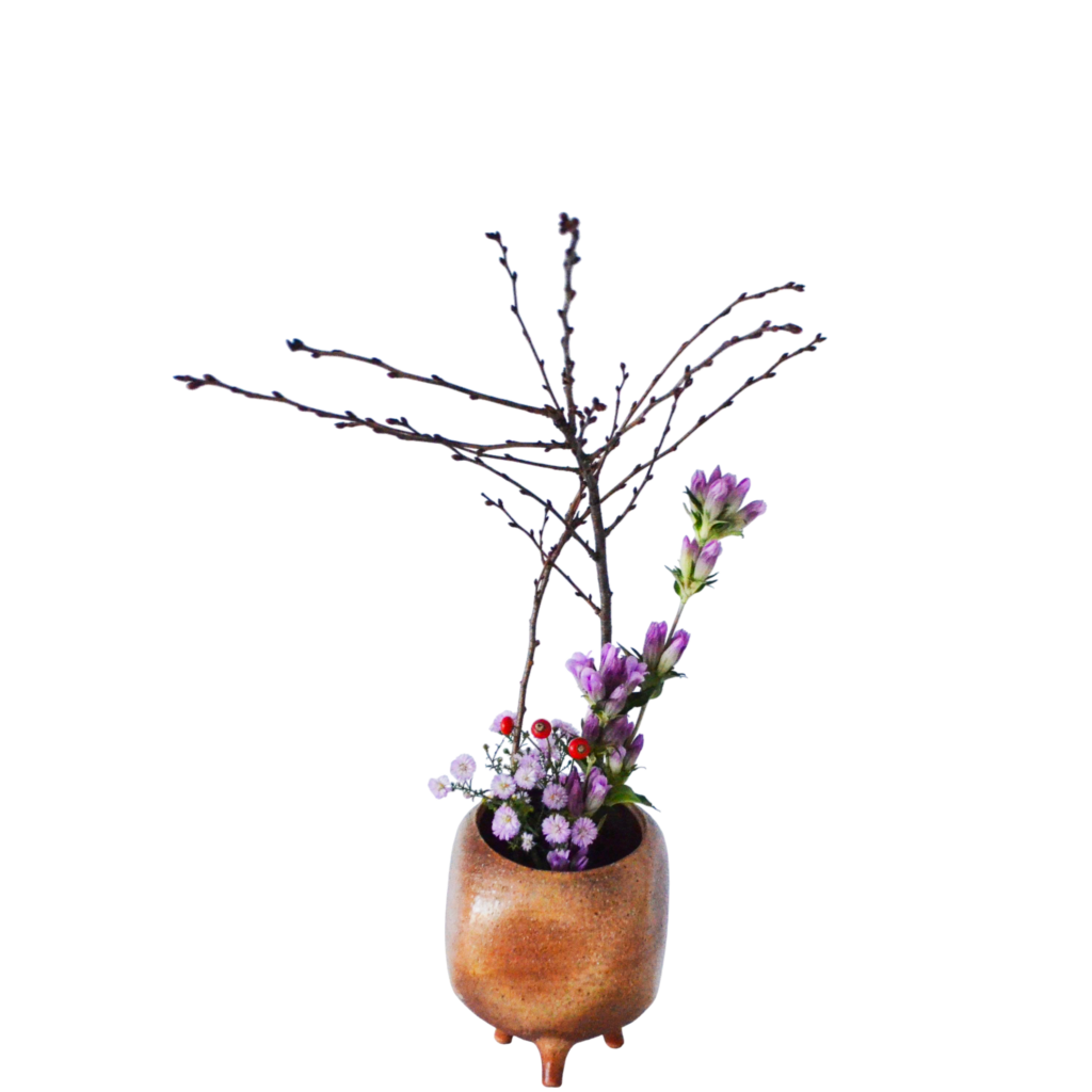 Z.水盤スタンダードコース [2025年11月 - 2回目]