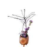 Z.水盤スタンダードコース [2025年11月 - 2回目]