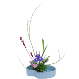 A.花瓶・水盤バラエティーコース [2025年11月 - 3回目]