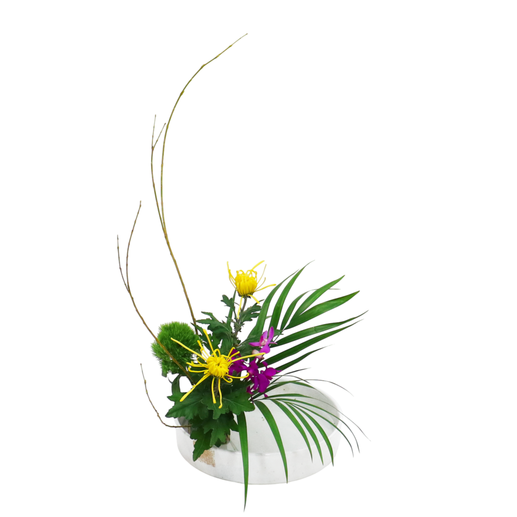 A.花瓶・水盤バラエティーコース [2025年11月 - 3回目]