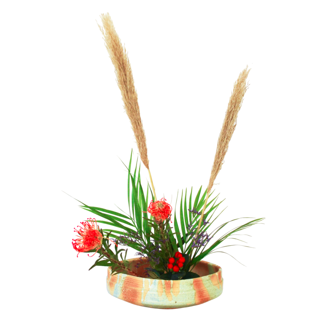 C.水盤スターターコース [2025年11月 - 3回目]