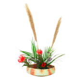 C.水盤スターターコース [2025年11月 - 3回目]