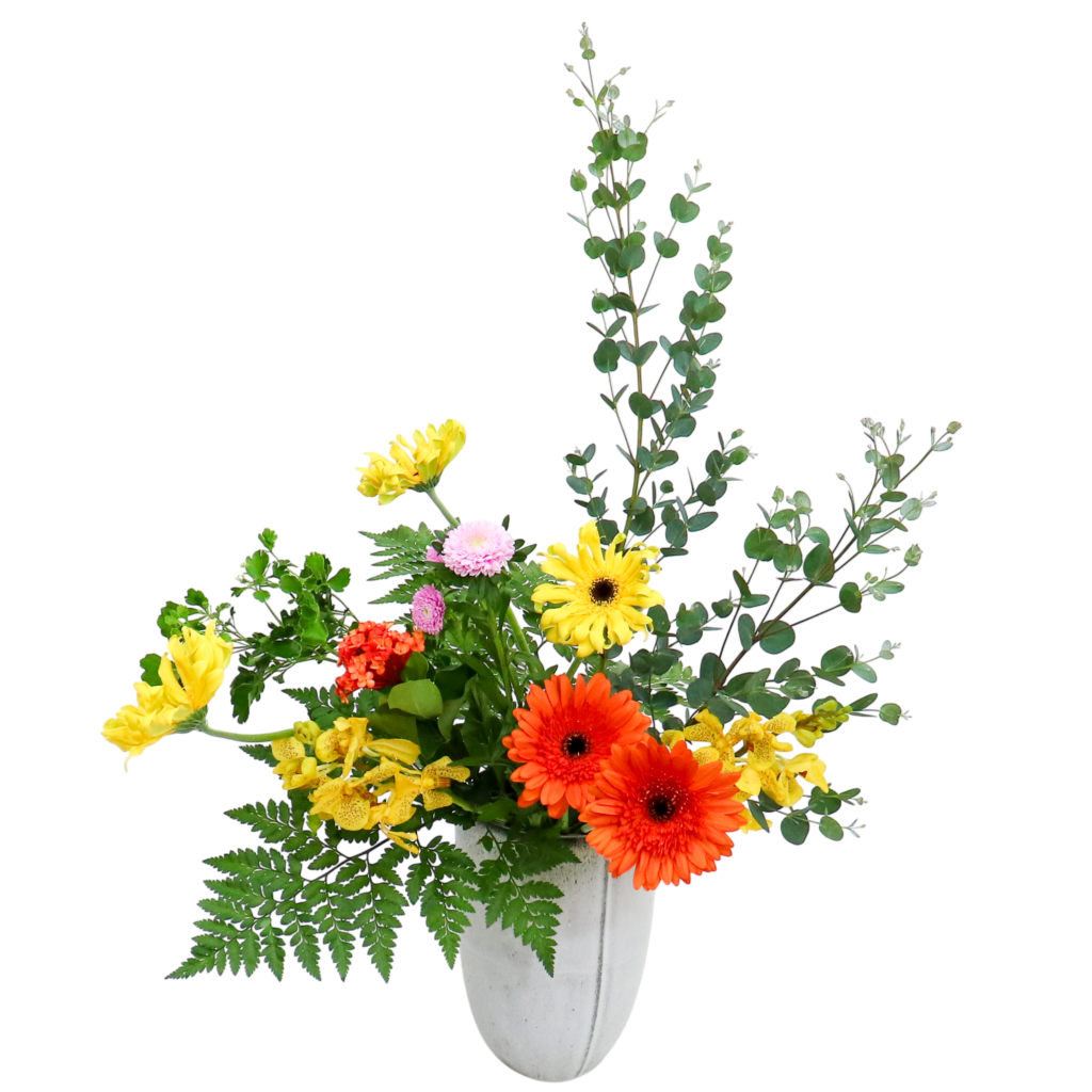 D.花瓶プレミアムコース [2025年11月 - 3回目]