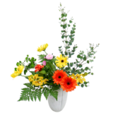 D.花瓶プレミアムコース [2025年11月 - 3回目]