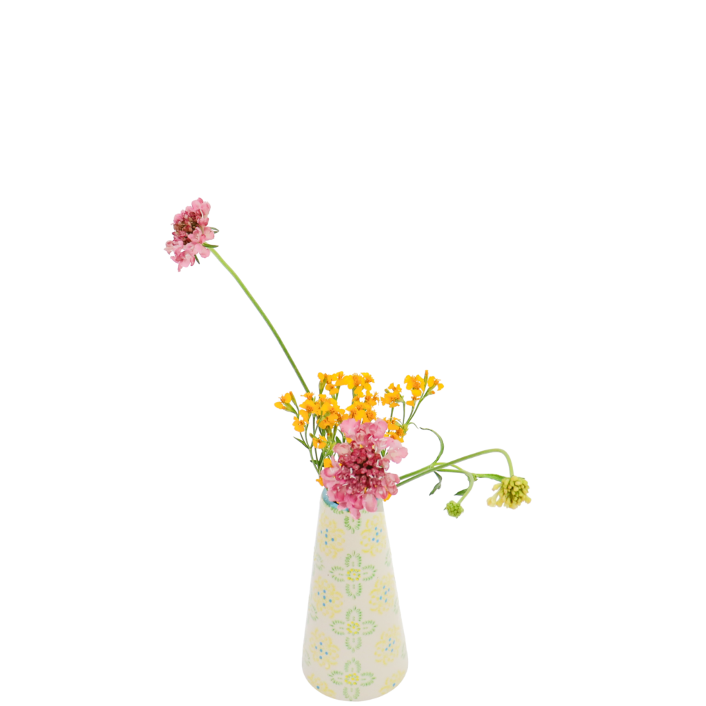 S.プラスONE 切り花S [2025年11月 - 3回目]