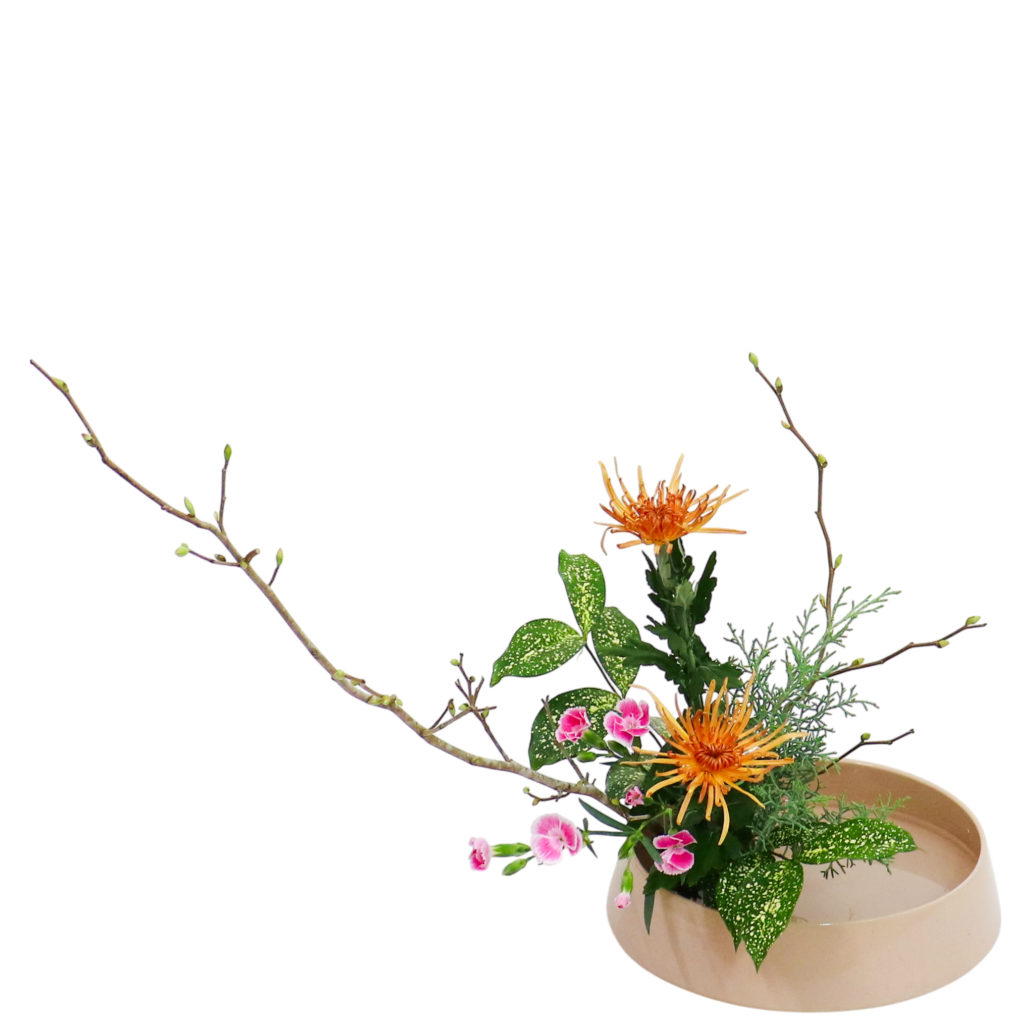 W.花瓶・水盤月2回コース [2025年11月 - 3回目]