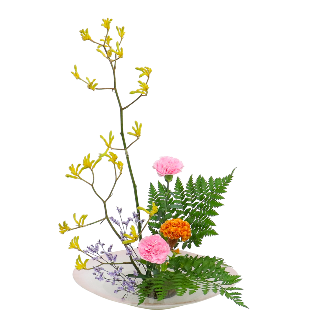 Z.水盤スタンダードコース [2025年11月 - 3回目]