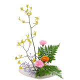 Z.水盤スタンダードコース [2025年11月 - 3回目]