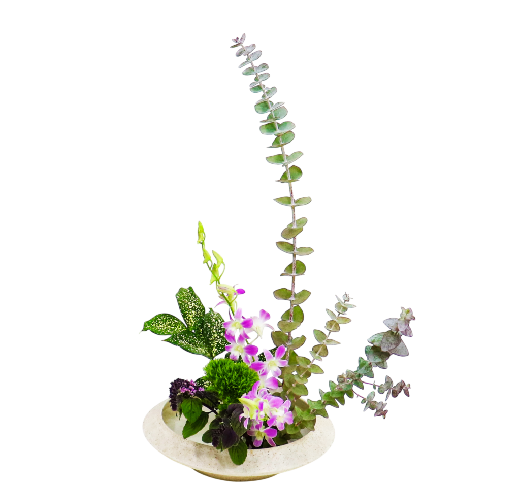 A.花瓶・水盤バラエティーコース [2025年12月 - 1回目]