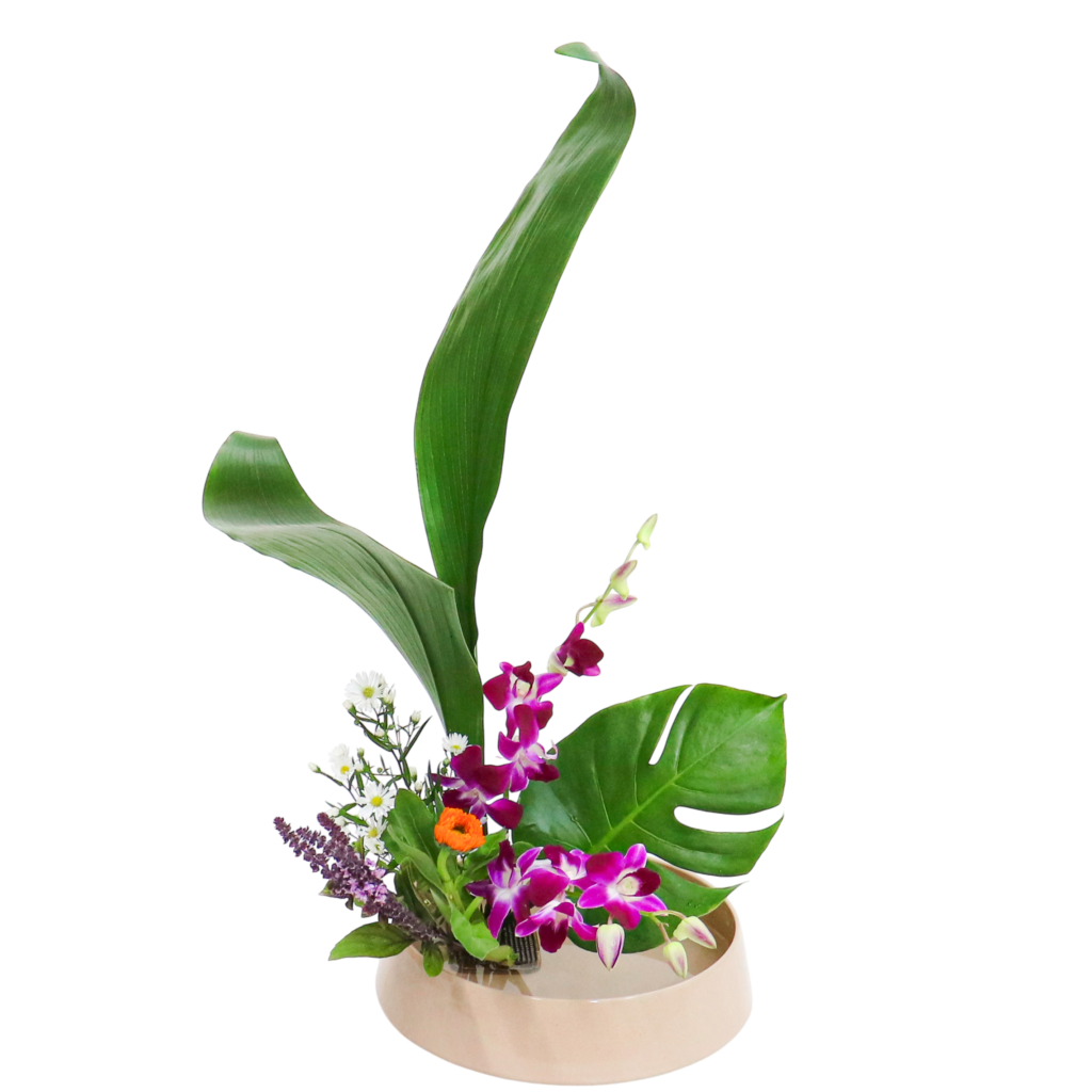 A.花瓶・水盤バラエティーコース [2025年12月 - 1回目]