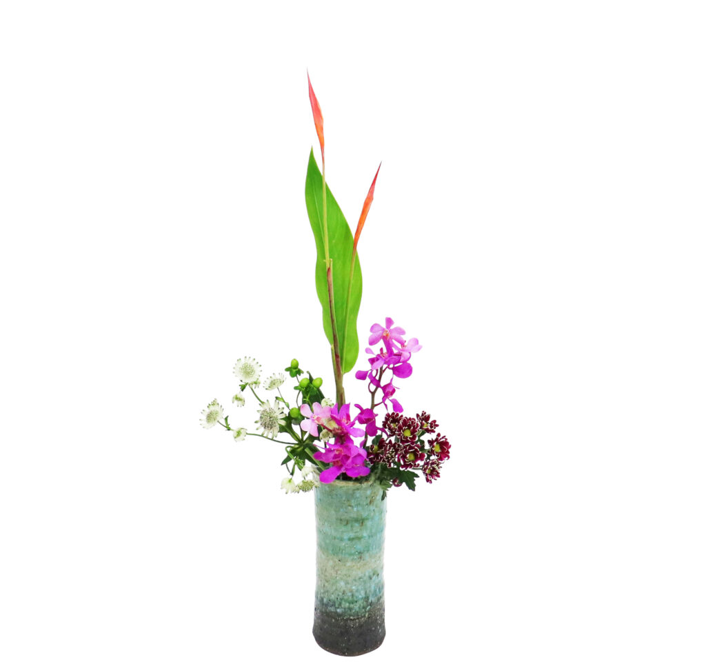 B.花瓶スターターコース [2025年12月 - 1回目]