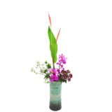 B.花瓶スターターコース [2025年12月 - 1回目]