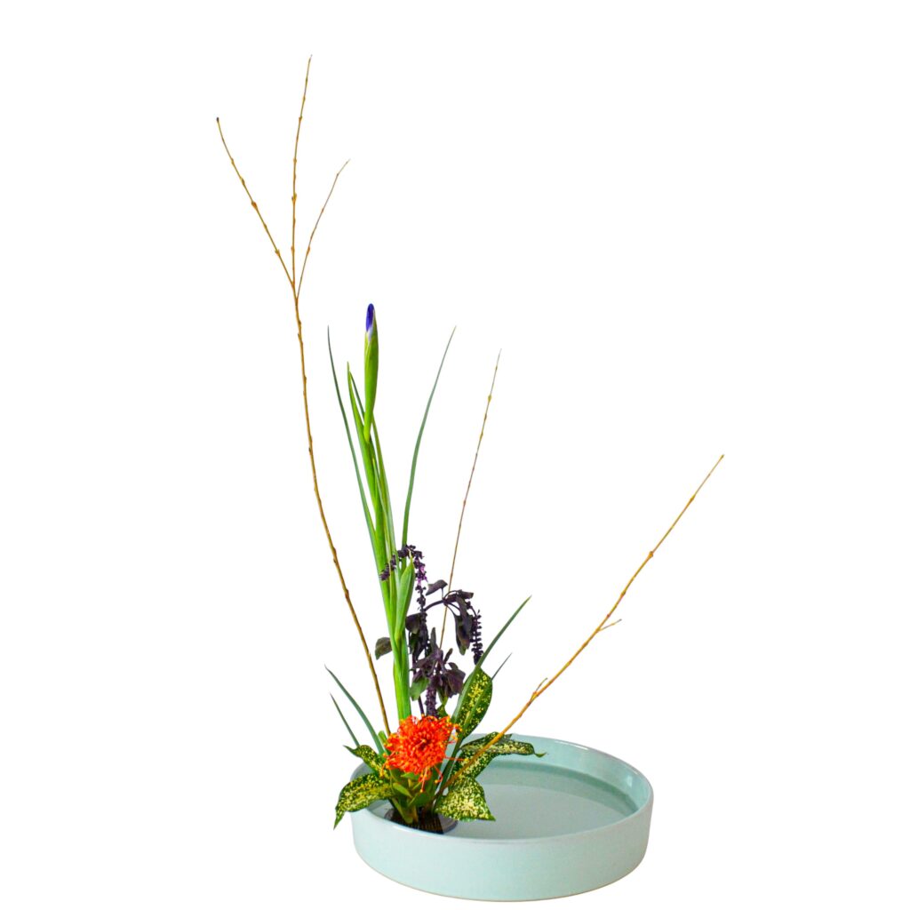 C.水盤スターターコース [2025年12月 - 1回目]