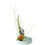 C.水盤スターターコース [2025年12月 - 1回目]