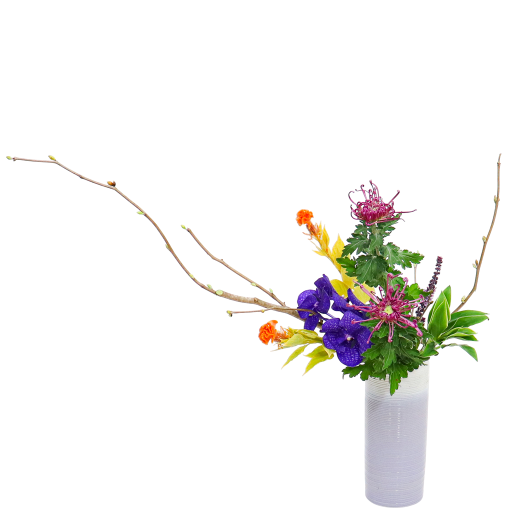 D.花瓶プレミアムコース [2025年12月 - 1回目]