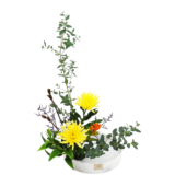 F.花瓶・水盤スターターコース [2025年12月 - 1回目]