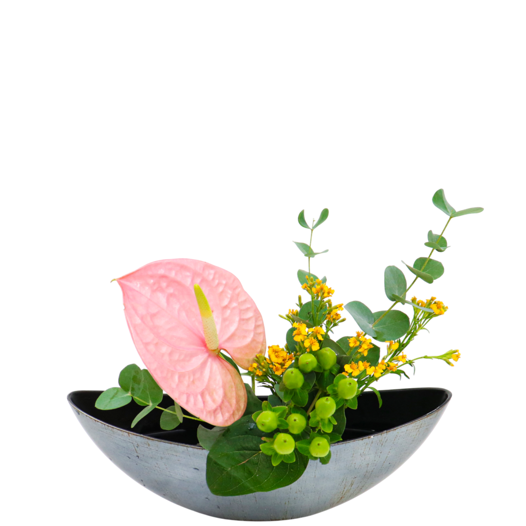 S.プラスONE 切り花S [2025年12月 - 1回目]